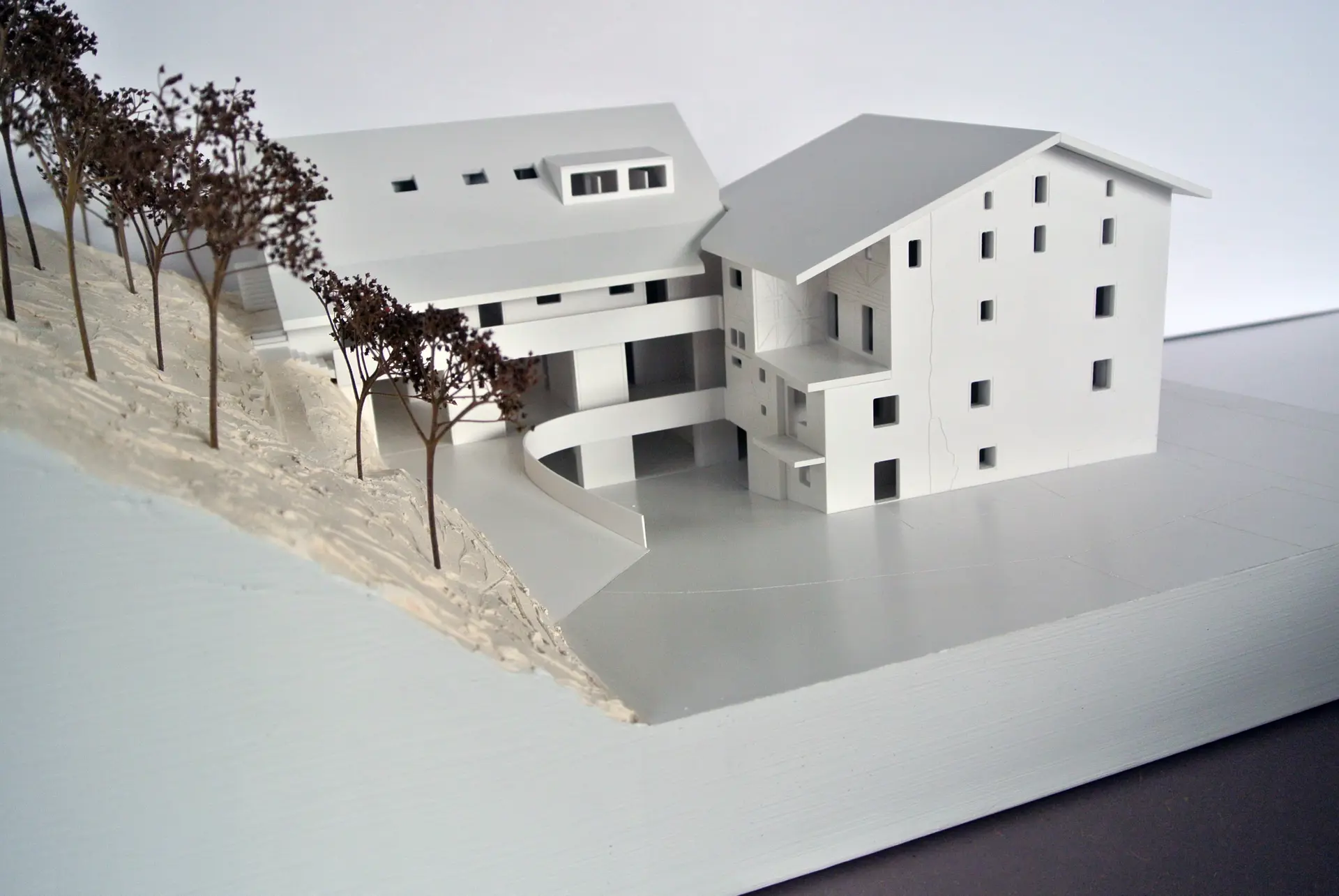 02_Bergwaldzentrum Trin_Studie